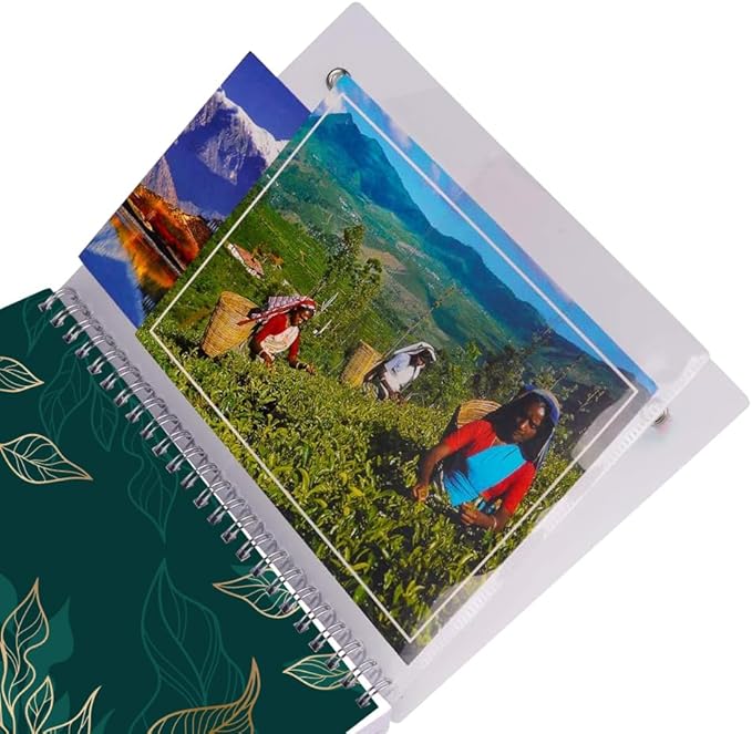 2026 Weekly & Monthly Planner - 2026 Planner from January 2026 to December 2026, Easy to Organize Your Daily Life, Medium 6.5" x 8.5", Gold Leaf
