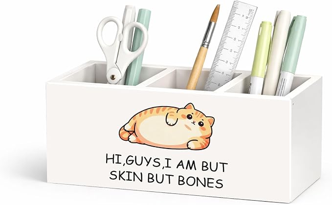 Funny Cat Pen Holder, Inch Desk Organizer, “Hi, Guys, I Am But Skin But Bones” Chubby Cat Illustration, Cute Desk Storage for Pens, Pencils, Scissors – Cat Lover Gift