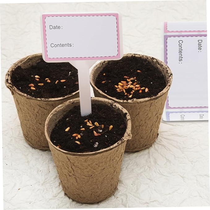 2 Rolls of Food Date Labels Stickers Removable for Freezer Storage Self-Adhesive for Jars Bottles Easy Peel Stick