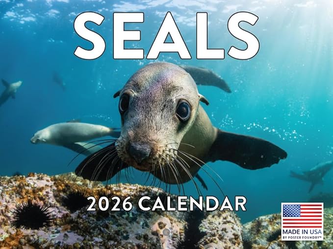 Seal Calendar 2026 Monthly Wall Calender 12 Month | American Made In The USA