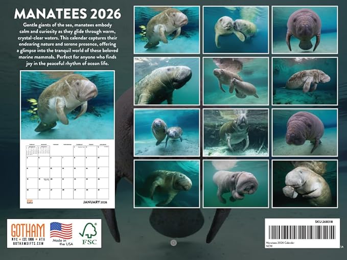 Manatee Calendar 2026 Monthly Wall Calender 12 Month | American Made In The USA