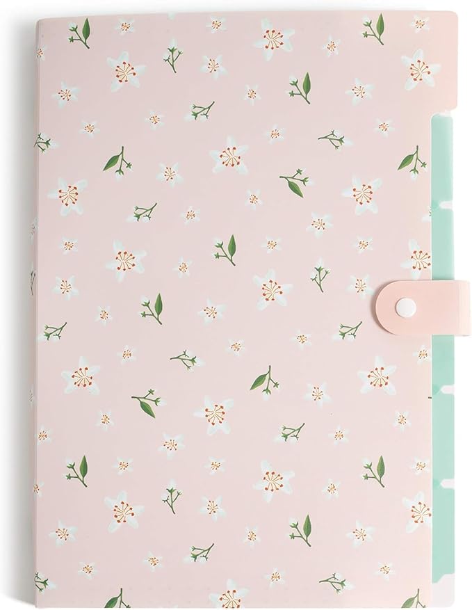 U Brands Fashion Expanding File Folder, Poly 5-Pocket Folder, Elevated Patterns, 3 Pack (3450U01-12)