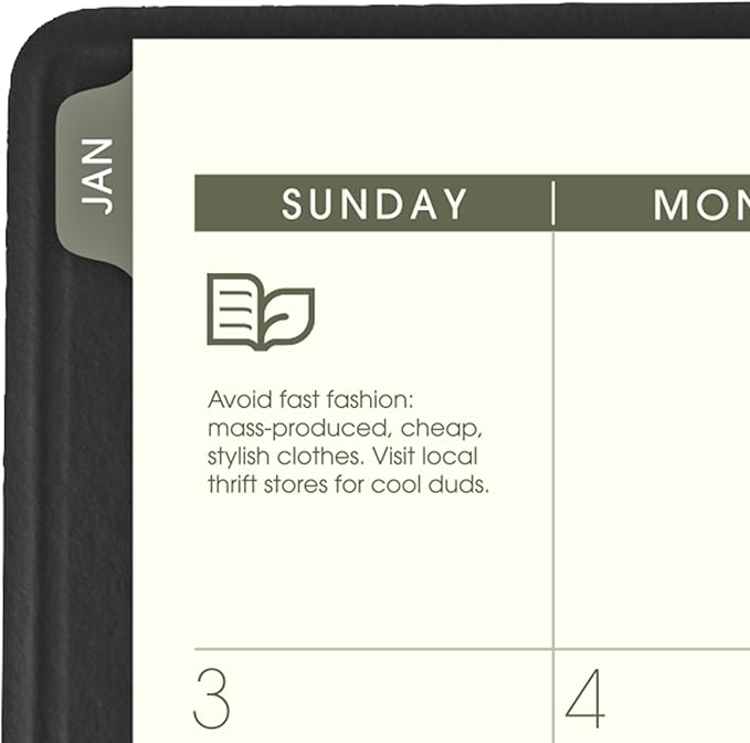 AT-A-GLANCE 2027 Appointment Book Planner, Weekly & Monthly, 7" x 8.75", Quarter-Hourly, Recycled, Black (70951G0527)