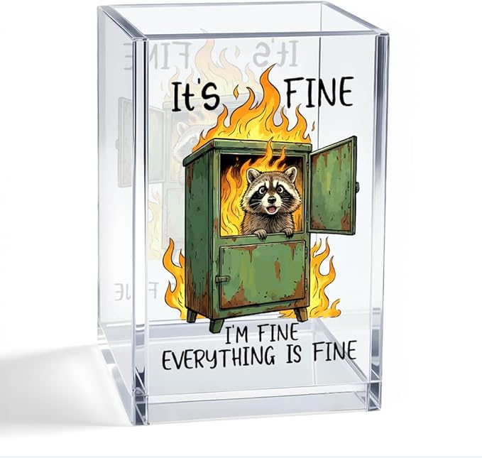 WHETHER It's Fine Raccoon Acrylic Organizer Pencil Pen Holder, Cute Raccoon Makeup Brush Storage, Office Humor Desk Accessories for Women Teacher Principal Student Colleague Boss