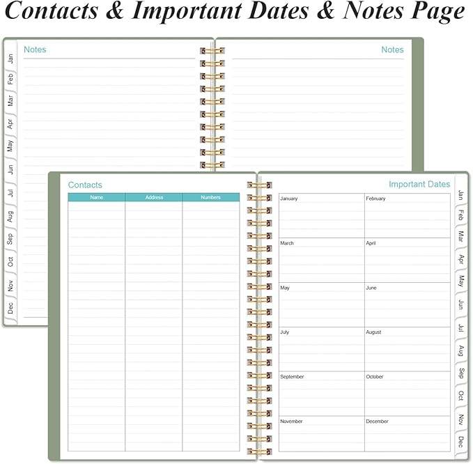 2026 Appointment Book & Planner - 2026 Daily Hourly Planner from January 2026 - December 2026, Weekly Appointment Book with 30-Minute Interval, Medium 6.4" x 8.5", Green-D