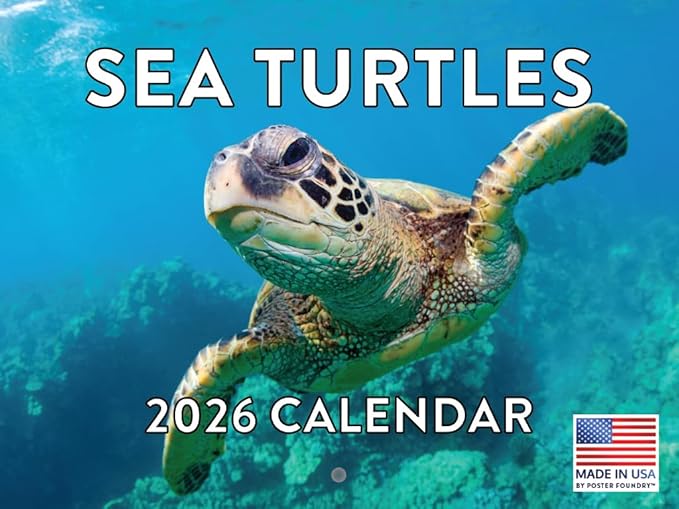 Sea Turtle Calendar 2026 Wall 12 Month Sea Turtles Gifts For Sea Turtle Lovers Women Men Monthly Calender| American Made In The USA