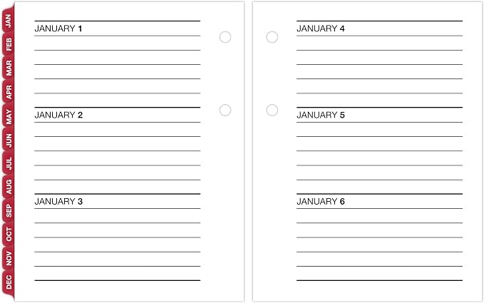 AT-A-GLANCE 2027 Desk Calendar Refill, Daily Desk Pad Refill, 3" x 3.75", Loose-Leaf (E9195027)