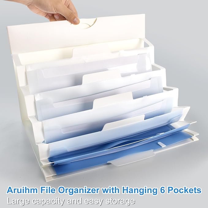 Wall File Organizer 6 Pocket, Hanging Wall File Organiser for Classrooms and Offices, 6 Removable Poly Hanging File Folders