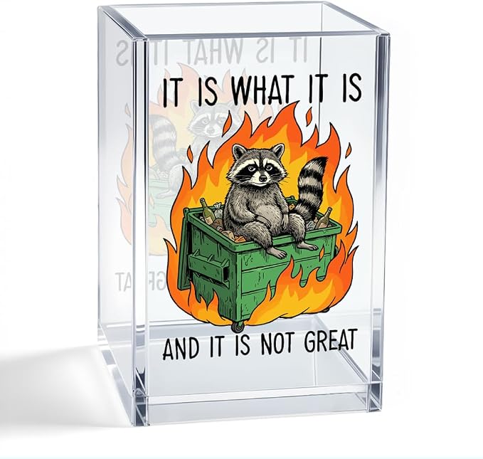 It Is What It Is and It Is Not Great Acrylic Organizer Pencil Pen Holder, Funny Raccoon Humor Dumpster Fire Desk Organizer Gifts for Coworker Friend Burnout Office Worker