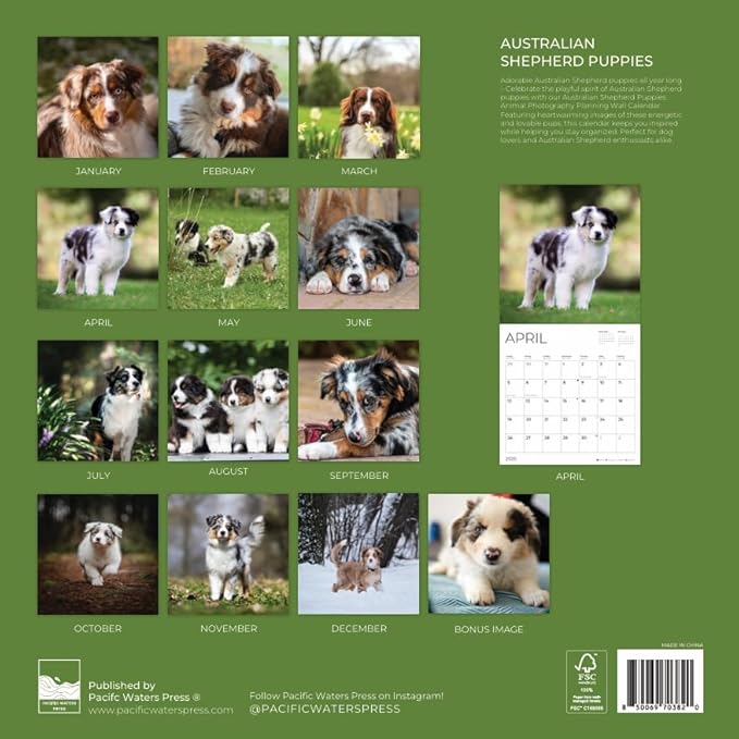 Australian Shepherd Puppy 2026 Wall Calendar | 12" x 24" Open | Dog Photography Thick & Sturdy Paper for Planning | Office Kitchen Decor or Gift | Pacific Waters Press (Australian Shepherd Puppies)