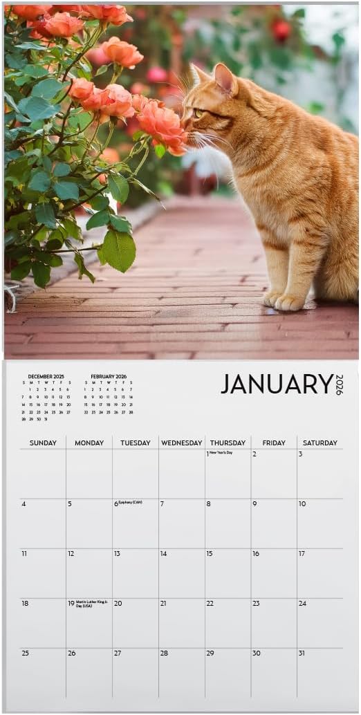 Cats and Flowers Large Wall Calendar | 12 x 12 Inches | 2026 Wall Calendar | Christmas Gift (Cats and Flowers)