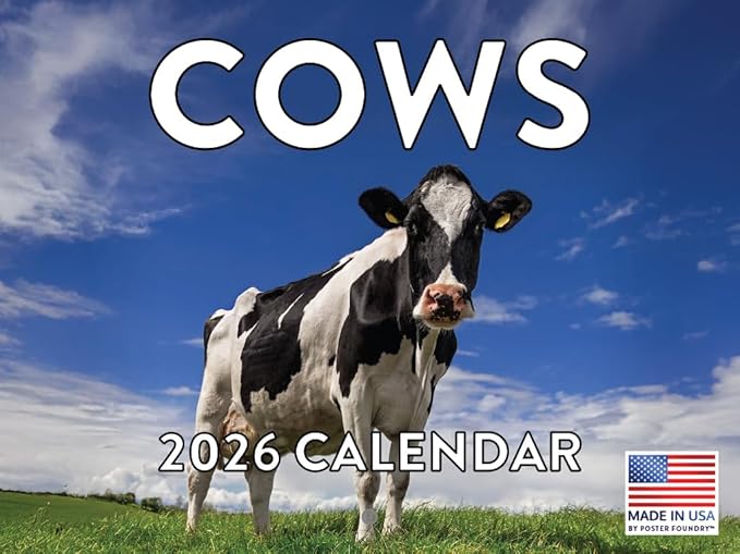 Cow Calendar 2026 Monthly Wall Calender 12 Month | American Made In The USA
