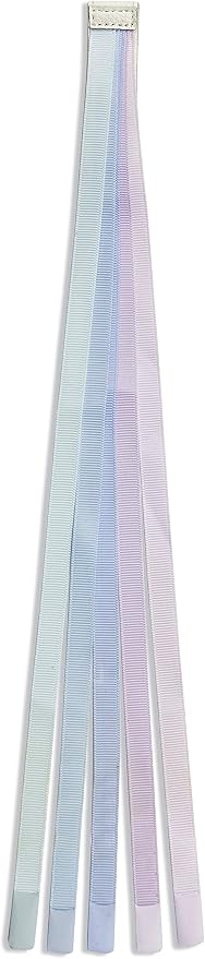 Superior Essentials Magnetic Leather Bible Bookmark-Attachable Bible Ribbon Bookmarks for Book Lovers with 5 Colorful Strings - No More Flipping Through Pages Using Our Bible Page Markers(1PC, Pastel)