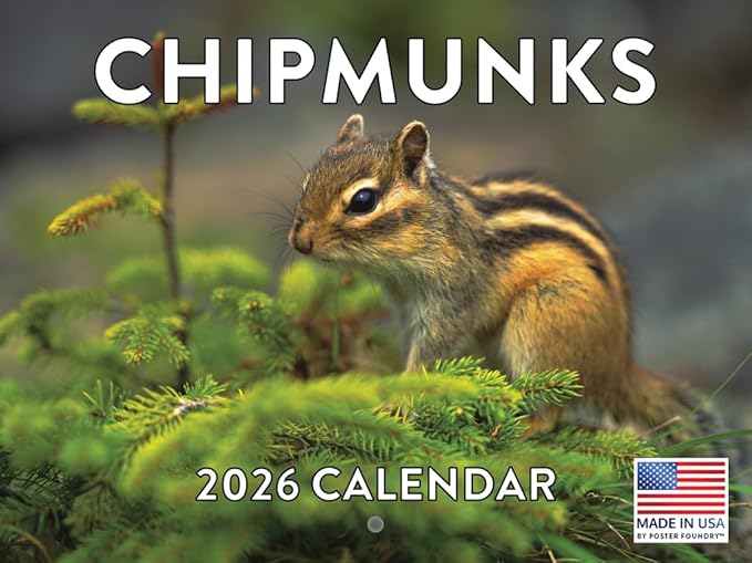 Chipmunk Calendar 2026 Wall 12 Month Monthly Chipmunk Gifts For Chipmunks Lovers Women Men Mom Dad | American Made In The US