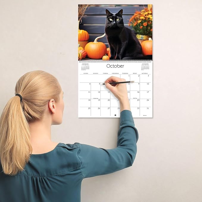 Current 2026 Love Those Cats Wall Calendar, 12-Inch x 9-Inch Size Closed, 18-Inch Size Open, Large Bookstore-Quality, Spiral-Bound Hanging Monthly Wall Calendars for Kitchen & Office
