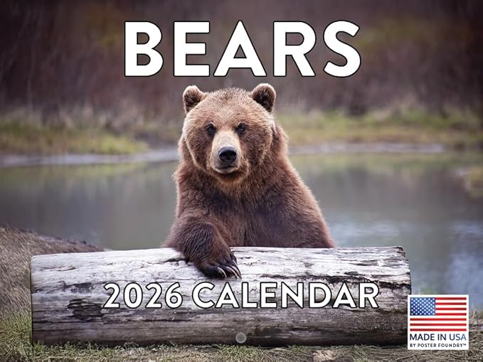 Bear Calendar 2026 Wall 12 Month Bears Gifts For Bear Lovers Women Men Monthly Calender| American Made In The USA