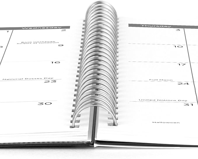 Mead 2025 Planner, Weekly & Monthly, 15-Month, 5-1/2" x 8-1/2", Small, Basic, Black (CRW4200525)