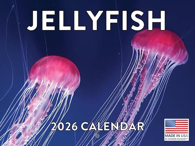 Jellyfish Calendar 2026 Monthly Wall Calender 12 Month | American Made In The USA