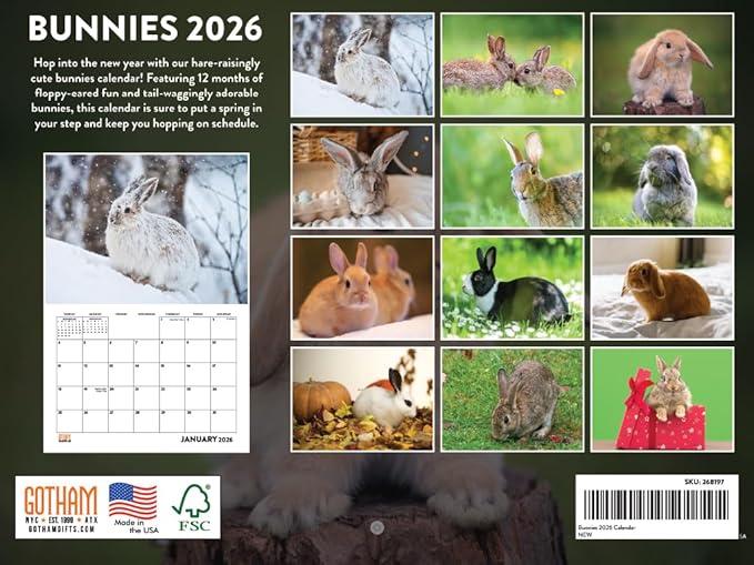 Bunny Calendar 2026 Bunnies Rabbit Gifts Monthly Wall Calender 12 Month | American Made In The USA
