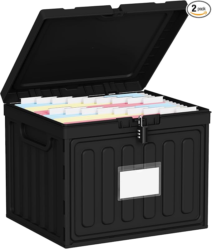 Oterri Plastic File Box with Lid for Letter Size Hanging File Folders, Hanging File Folder Box for Home, Office, School, File Cabinet, Black