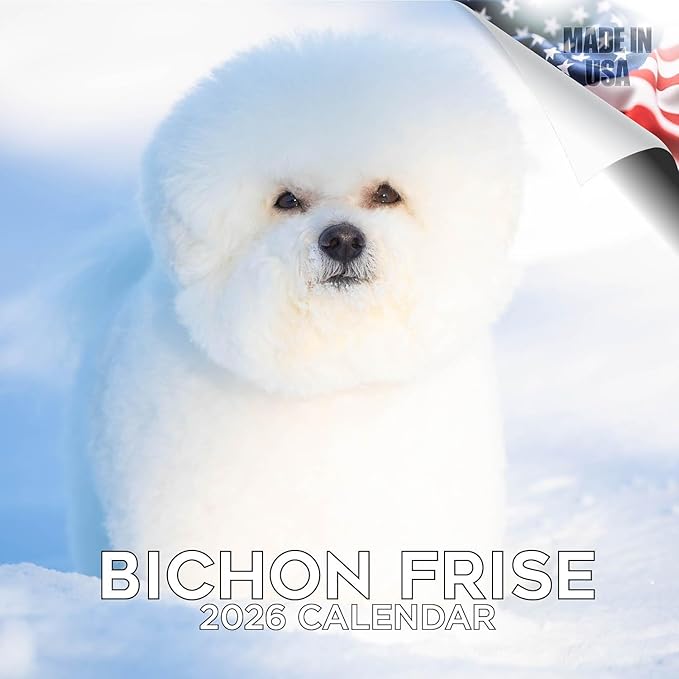Bichon Frise Calendar 2026 by MegaCalendars – Monthly Dog Breed Wall Calendar, Made in USA