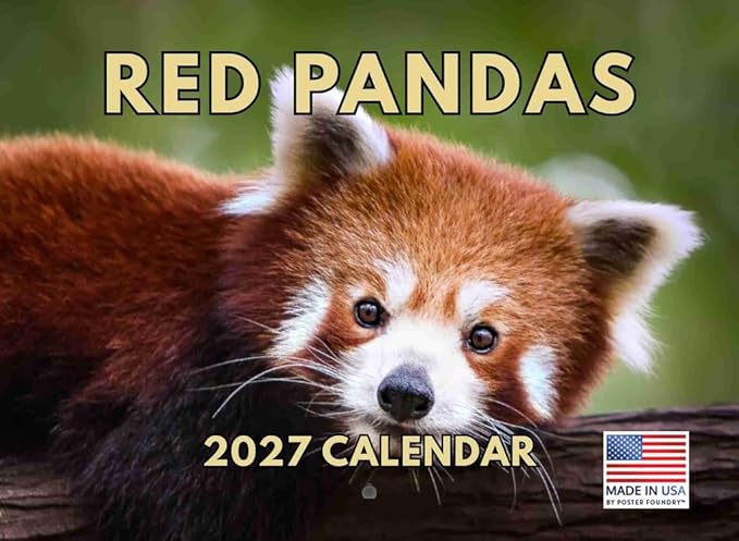 Red Panda Calendar 2027 Monthly Wall Calender 12 Month