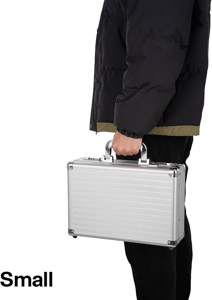 File Organizer Storage Box - 14.2 x 9.8 x 4.5 Inch Medium, Portable Locking Storage Totes with Dual Combination Locks, Lock Boxes for Personal Items, Cash, Briefcase - Silver