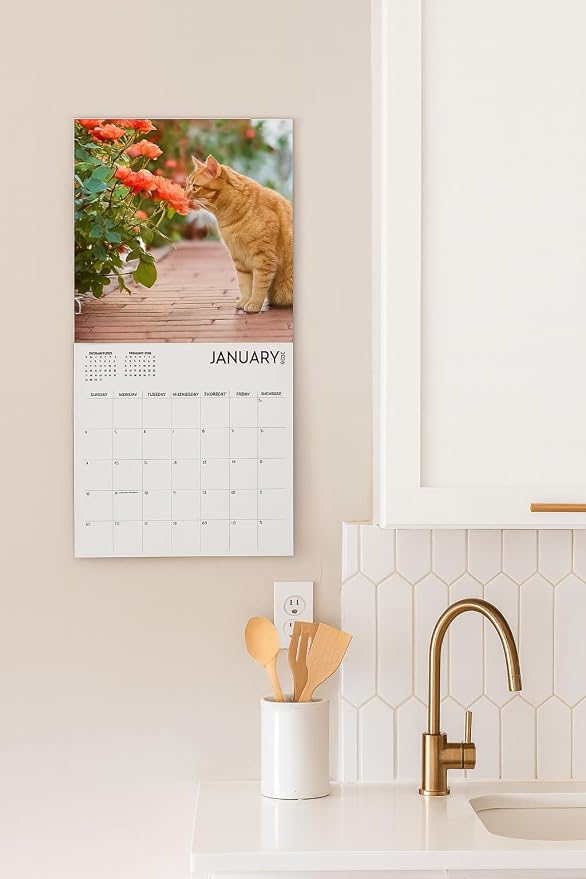 Cats and Flowers Large Wall Calendar | 12 x 12 Inches | 2026 Wall Calendar | Christmas Gift (Cats and Flowers)