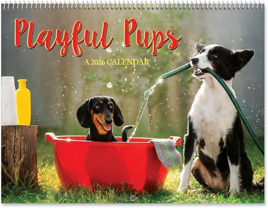 Current 2026 Playful Pups Dog Wall Calendar, 12-Inch x 9-Inch Size Closed, 18-Inch Size Open, Large Bookstore-Quality, Spiral-Bound Hanging Monthly Wall Calendars for Kitchen & Office