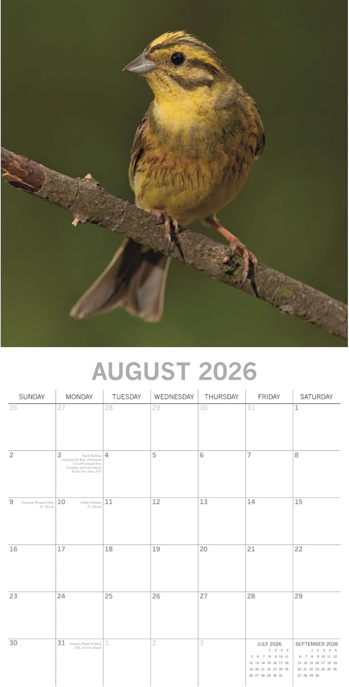 The Gifted Stationery 16 Month Square Wall Calendar - 2026 Wall Planner with 180 Planner Stickers - Hanging Calendar for Home & Office - Sept 2025-Dec 2026, 12 x 12 in