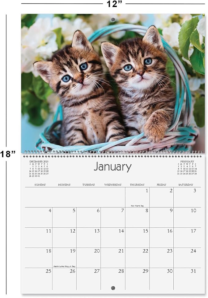 Current 2026 Love Those Cats Wall Calendar, 12-Inch x 9-Inch Size Closed, 18-Inch Size Open, Large Bookstore-Quality, Spiral-Bound Hanging Monthly Wall Calendars for Kitchen & Office