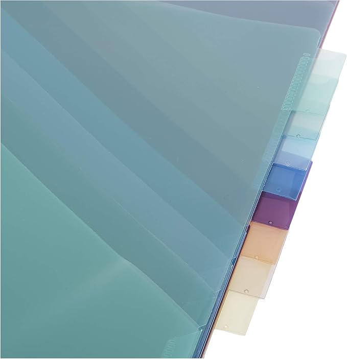 Amazon Basics Tab Dividers for 3 Ring Binder, Two Pocket, Letter Size, Transparent Assorted Colors, 24 Count