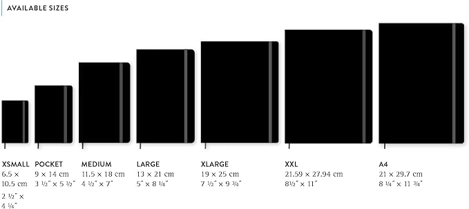 Moleskine 18 Month 2021 Monthly Planner, Hard Cover, Pocket (3.5" x 5.5") Black (DHB18MN2Y21)