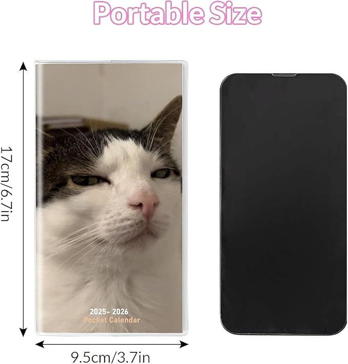 Pocket Calendar 2025-2026 Planner, Daily Weekly Monthly Planner Jan 2025 to Dec 2026 (3.7" x 6.7") Page Size, Daily Planner 2025 for Purse - Cool Cat
