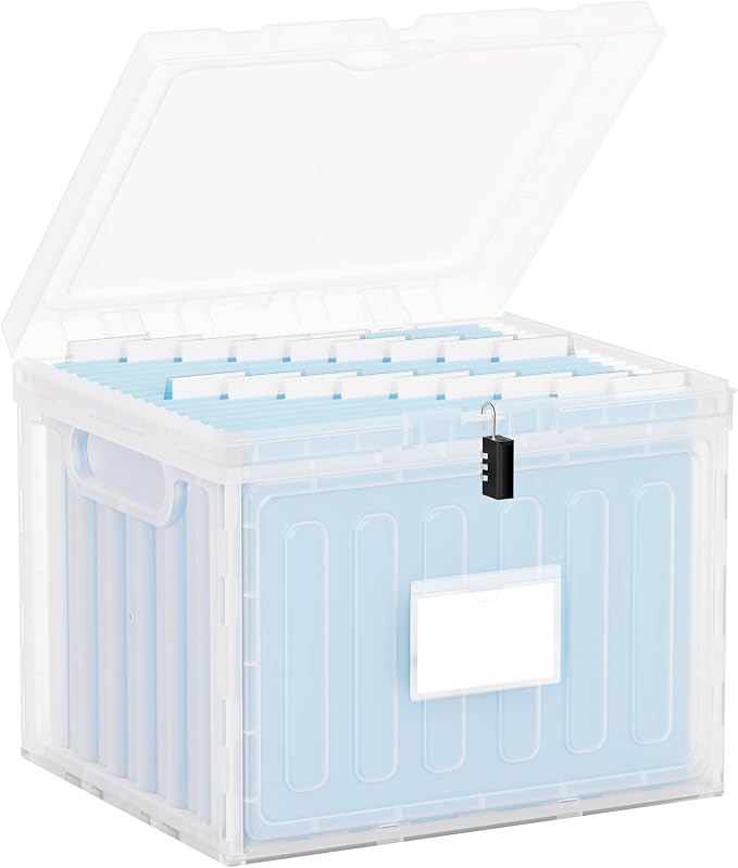 Oterri Plastic File Box with Lid for Letter Size Hanging File Folders, Hanging File Folder Box for Home, Office, School, File Cabinet (Transparent, Large-1 Pack Without Folders)