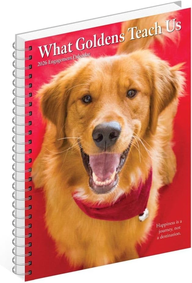 Willow Creek Press, What Goldens Teach Us 2026 Engagement Planner, 7'' X 8.66'', Weekly Calendar with Spiral Binding