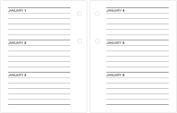 AT-A-GLANCE 2026 Desk Calendar Refill, Daily, 3" x 3-3/4", Mini, Loose-Leaf (E9195026)