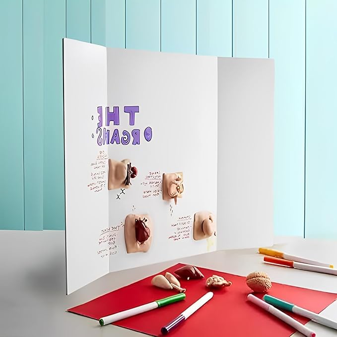 15 PCS 14 x 22 Inch Trifold Poster Board White Science Fair Display Boards 14 x 22 Trifold Presentation Board Tri-Fold Science Project Board Trifold Boards for Projects, Business, Exhibition