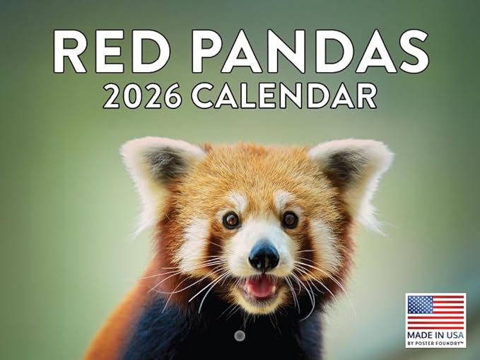 Red Panda Calendar 2026 Monthly Wall Calender 12 Month | American Made In The USA