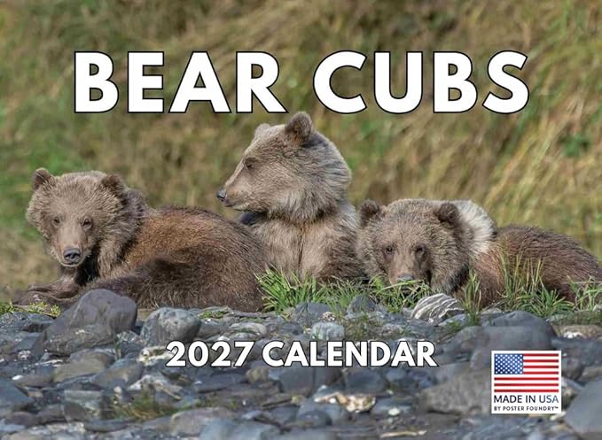 Baby Bear Cubs Calendar 2027 Monthly Wall Calender 12 Month