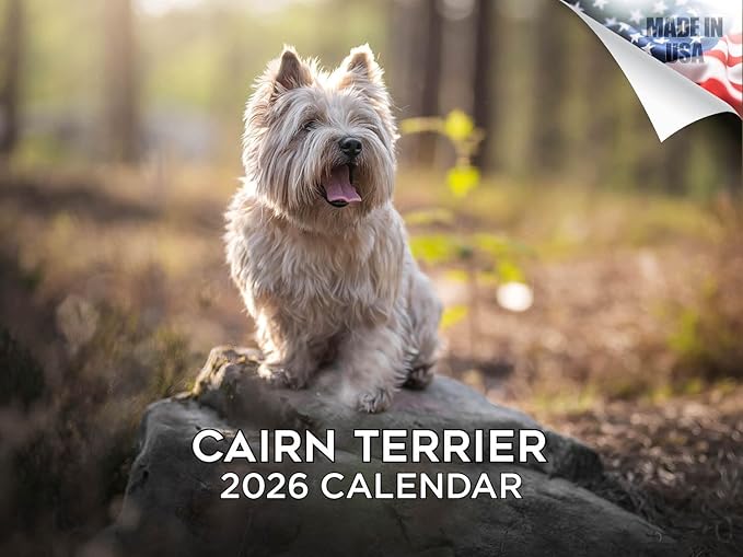 2025 2026 Cairn Terrier Calendar - Dog Breed Monthly Wall Calendar - 12" x 18" Open - Thick No-Bleed Paper - Giftable - Academic Teacher's Planner Calendar Organizing & Planning - Made in USA