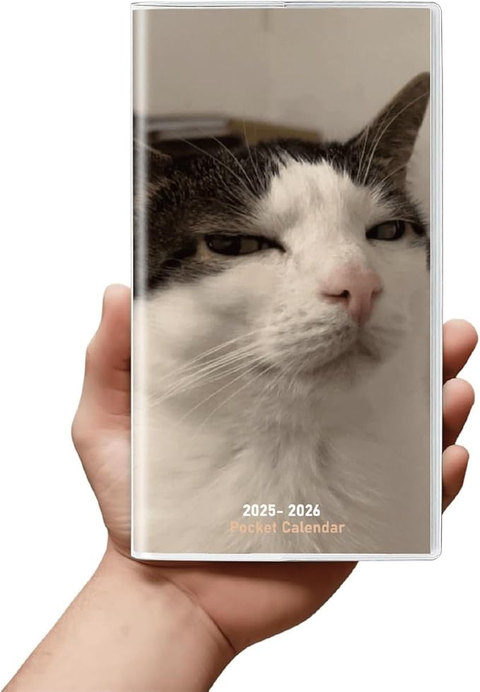 Pocket Calendar 2025-2026 Planner, Daily Weekly Monthly Planner Jan 2025 to Dec 2026 (3.7" x 6.7") Page Size, Daily Planner 2025 for Purse - Cool Cat
