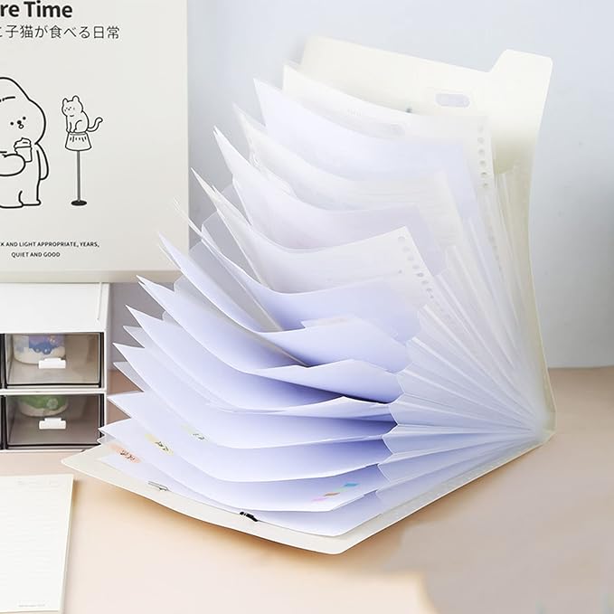 Accordion File Folder Organizer, Quick Search Practical Vertical Expanding Accordion Folder High Efficiency for Student (Leisure Time)