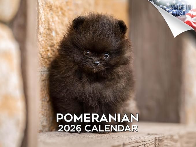 2025 2026 Pomeranian Calendar - Dog Breed Monthly Wall Calendar - 12" x 18" Open - Thick No-Bleed Paper - Giftable - Academic Teacher's Planner Calendar Organizing & Planning - Made in USA
