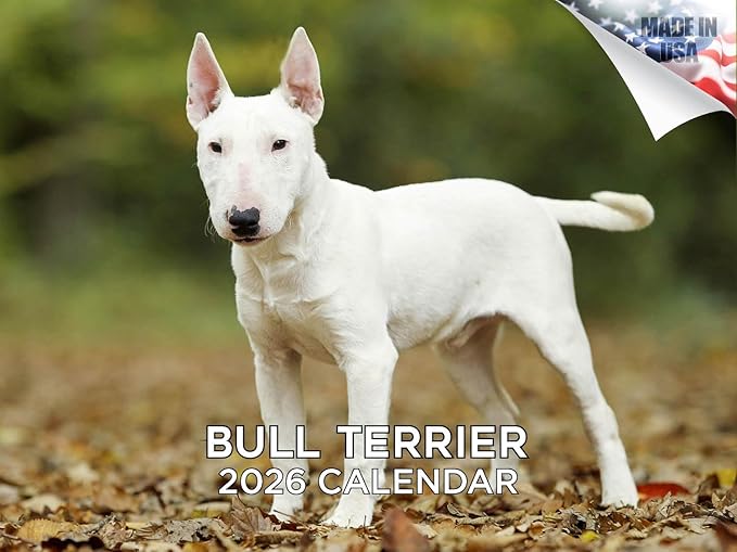 2025 2026 Bull Terrier Calendar - Dog Breed Monthly Wall Calendar - 12" x 18" Open - Thick No-Bleed Paper - Giftable - Academic Teacher's Planner Calendar Organizing & Planning - Made in USA