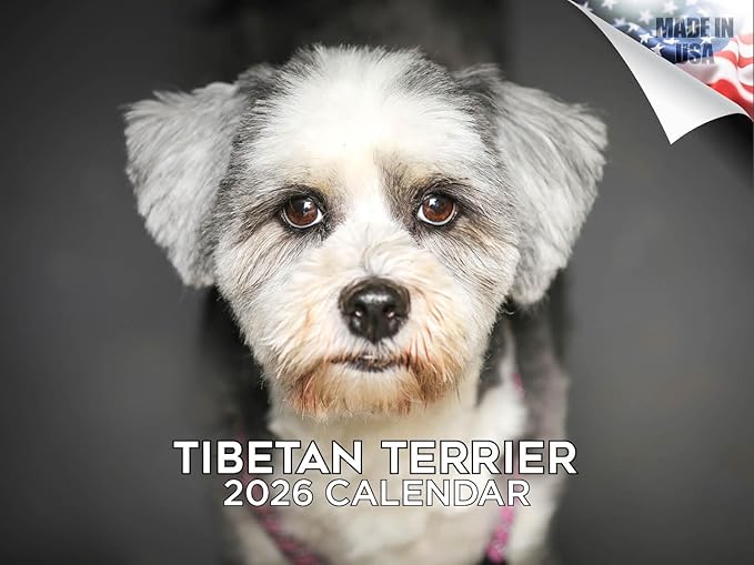 2025 2026 Tibetan Terrier Calendar - Dog Breed Monthly Wall Calendar - 12" x 18" Open - Thick No-Bleed Paper - Giftable - Academic Teacher's Planner Calendar Organizing & Planning