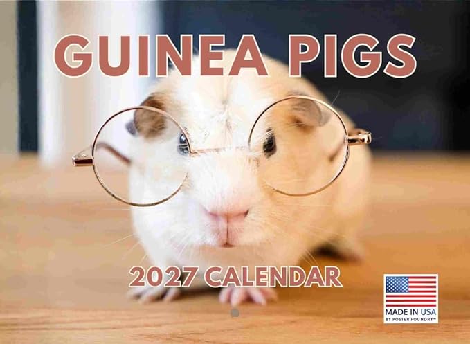 Guinea Pig Calendar 2027 Monthly Wall Calender 12 Month