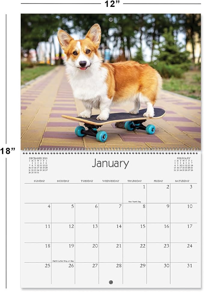 Current 2026 Playful Pups Dog Wall Calendar, 12-Inch x 9-Inch Size Closed, 18-Inch Size Open, Large Bookstore-Quality, Spiral-Bound Hanging Monthly Wall Calendars for Kitchen & Office