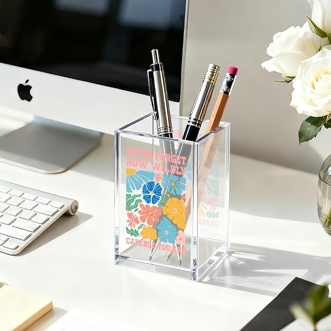 How Wildly Capable You Are Acrylic Cosmetic Organizer Pen Holder, Mental Health Desk Storage Accessory for Pencil, Inspirational Office Gifts for Coworker Leader Director Boss Bestie