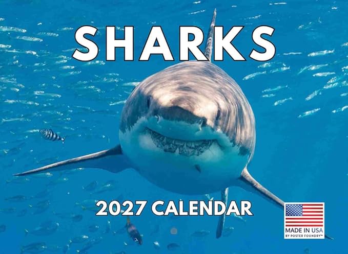 Shark Calendar 2027 Monthly Wall Calender 12 Month